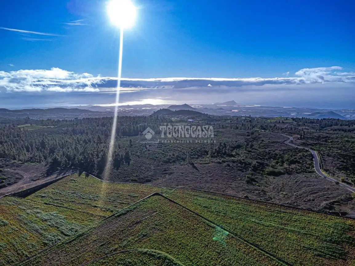 Terreno rústico en venta en Poligono 1, ERA VERDE, VILAFLOR DE CHASNA, imagen 9