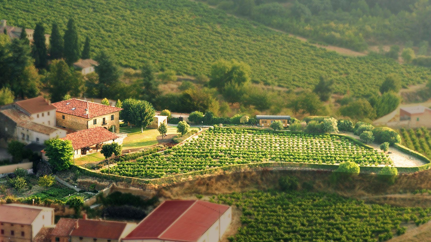 Vista exterior de Casa o xalet en venda en Villalba de Rioja amb Aire condicionat, Calefacció i Jardí privat