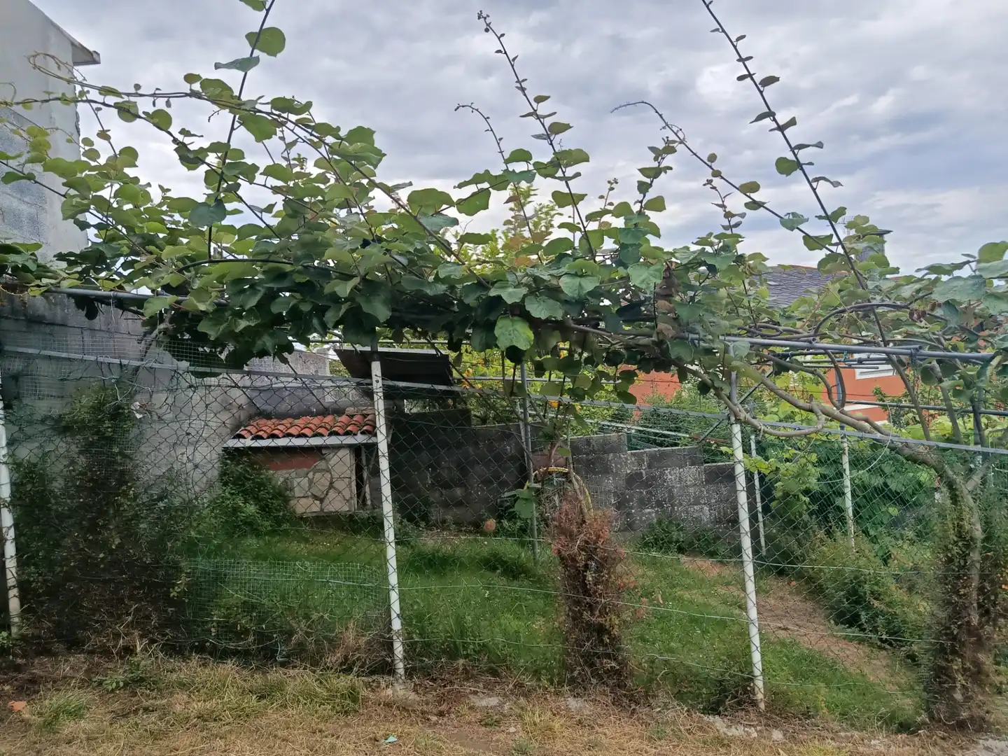 Casa amb terrassa en venda a Estrada Paraíso 1-3, imagen 11