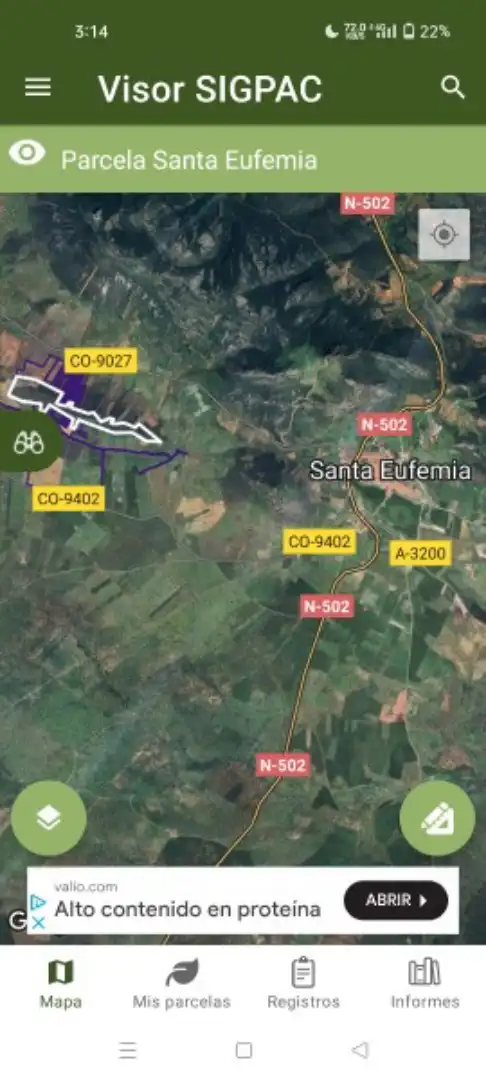 Land for sale in Santa Eufemia