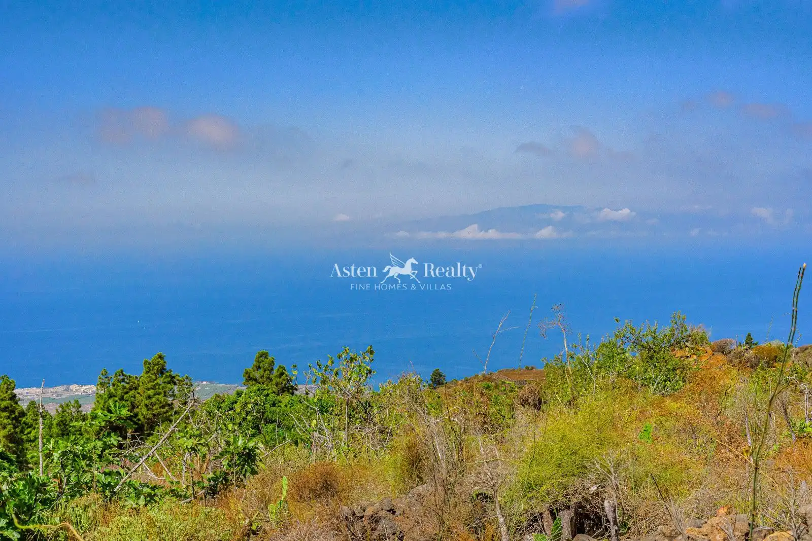 Rural land for sale in Guía de Isora interior