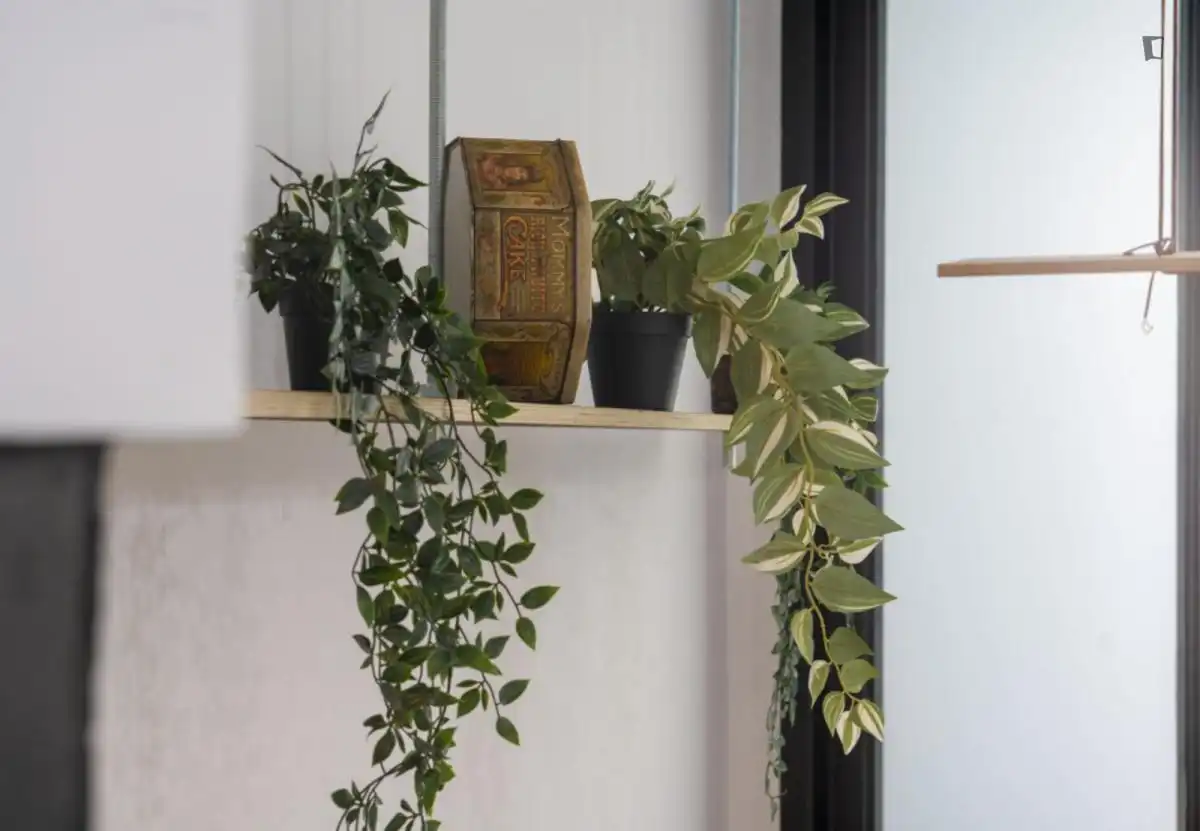 Apartamento de alquiler en Ciudad Jardín