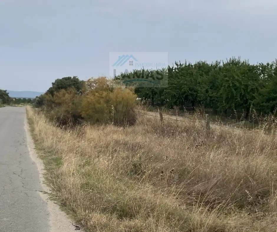 Terreni e lotti in vendita a Saucedilla, imagen 16