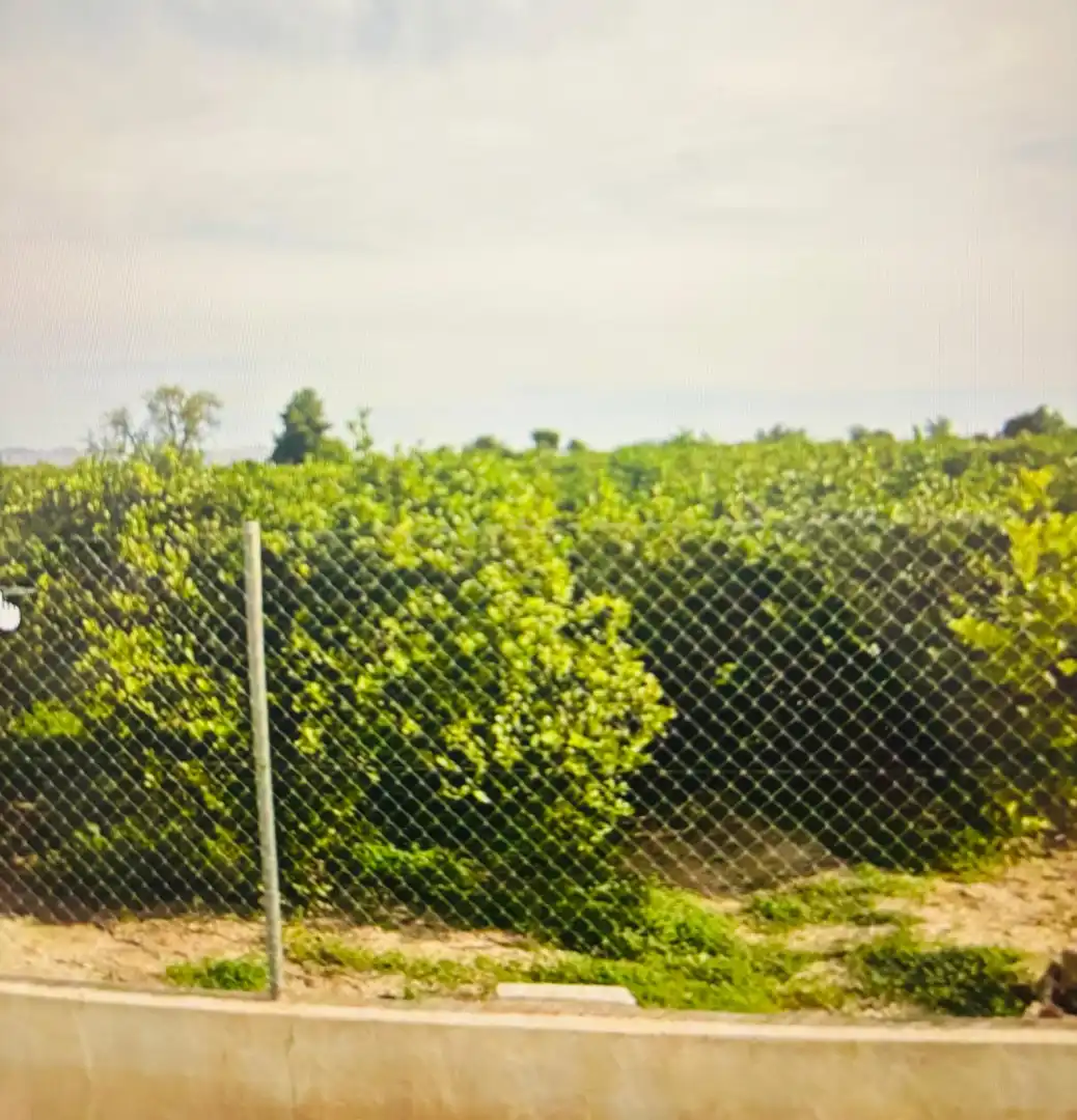 Terreny residencial en venda a Pedanías Este, imagen 4