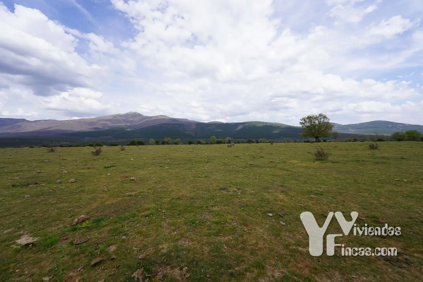 Terreno rústico en venta en Campillo de Ranas, imagen 2
