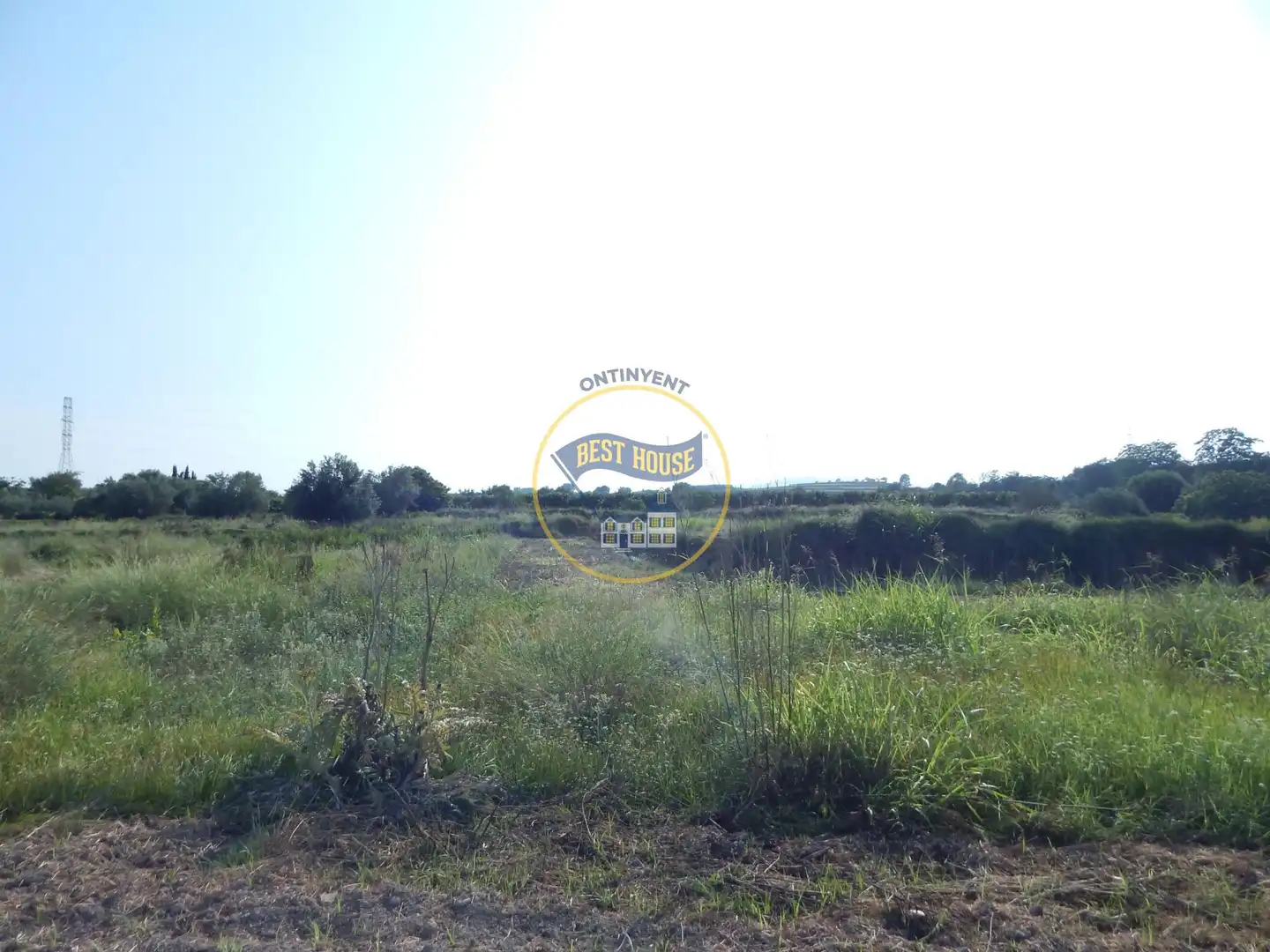 Terreno rustico in vendita a Albaida, imagen 2