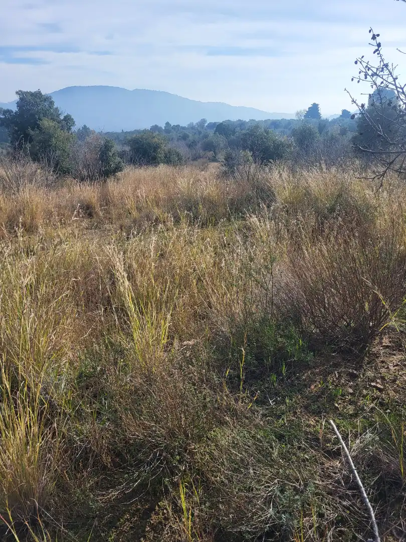 Terreno en venta en Vilaplana