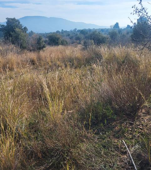 Foto 2 de Terreno en venta en Tp-7013, 108, Vilaplana, Tarragona