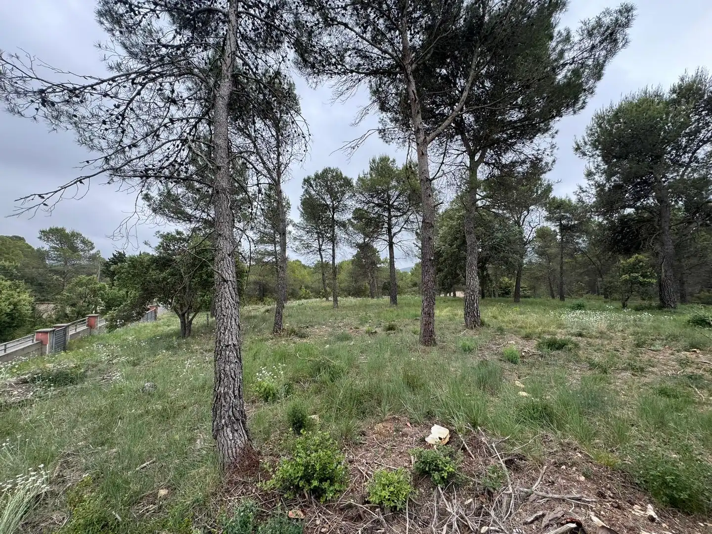 Terreno residenziale in vendita a Avinguda del Bosc, imagen 12