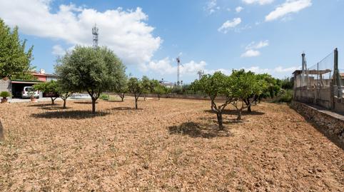 Foto 3 de Planta baixa en venda a Carrer del Molí del Comte, Establiments, Illes Balears