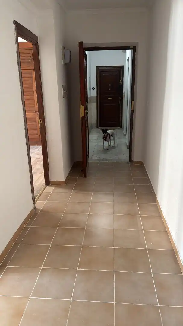 Piso con terraza en venta en Calle Gran Capitán 17, imagen 3