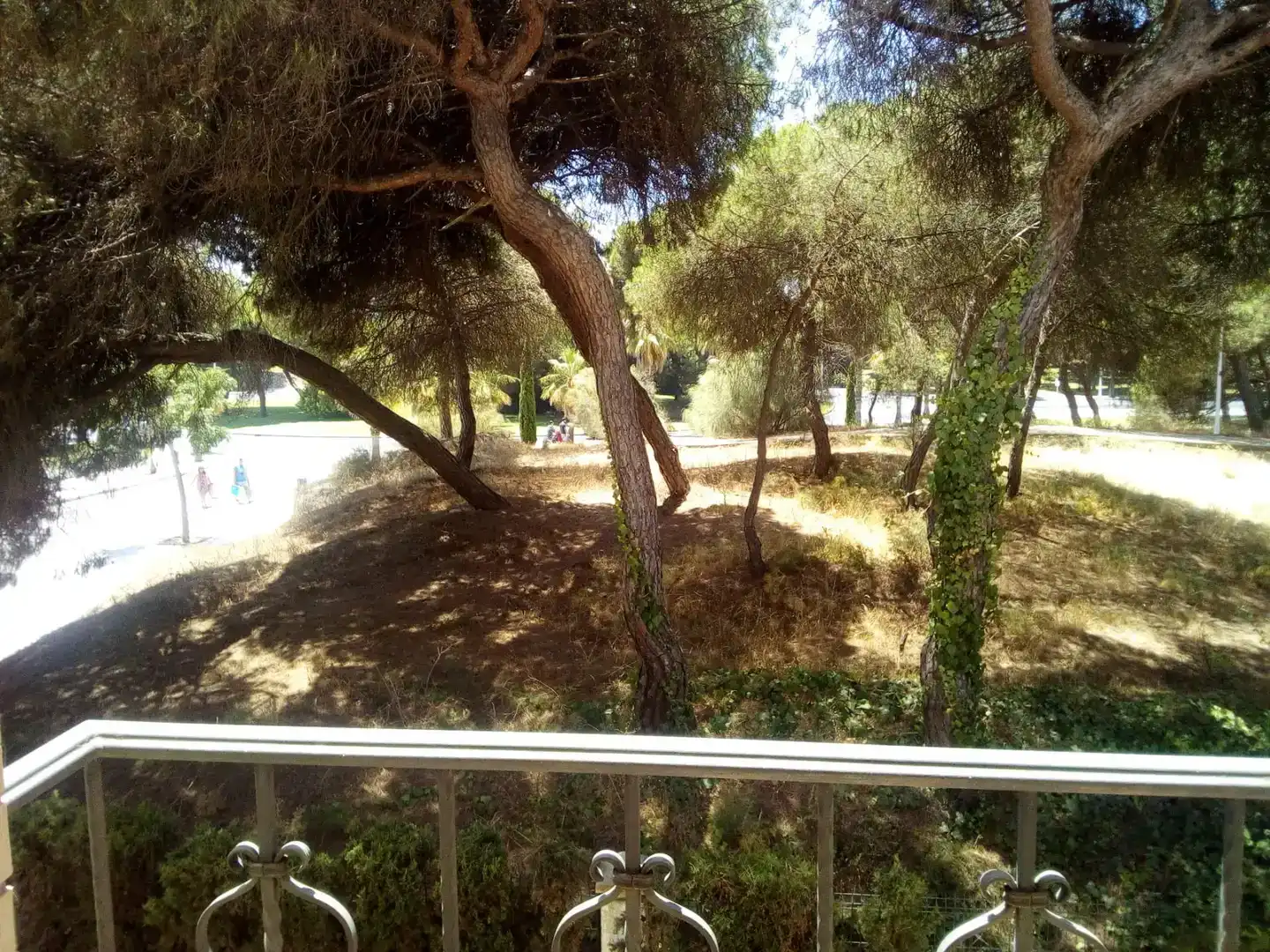 Jardí de Casa o xalet en venda en Punta Umbría amb Aire condicionat i Balcó