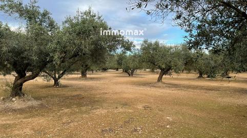 Foto 5 de Residencial en venda a 92, Vinallop, Tortosa