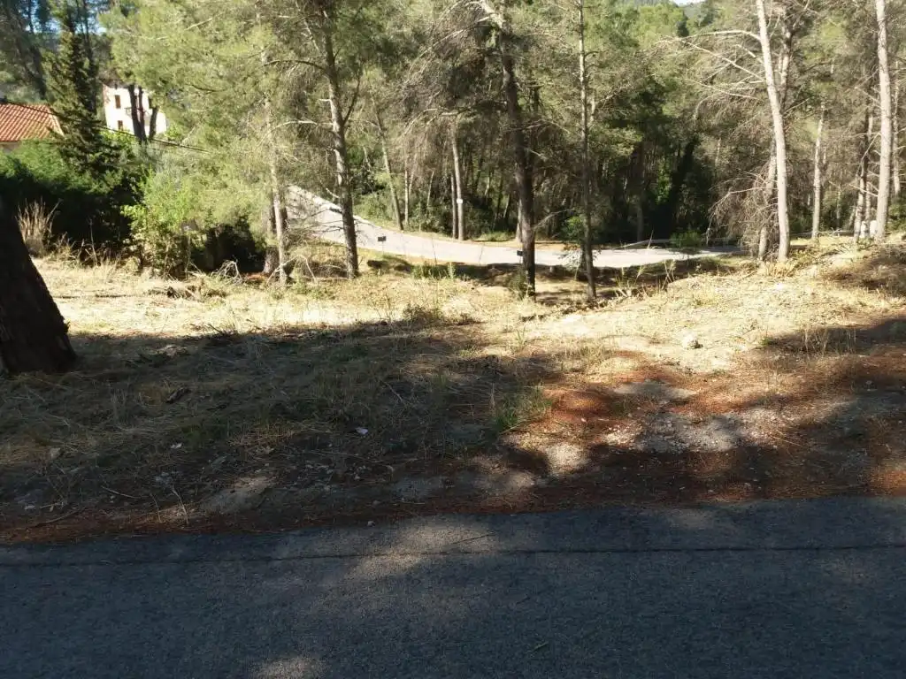 Terreny rústic en venda a MARE DE DEU DE MONTSERRAT, imagen 11