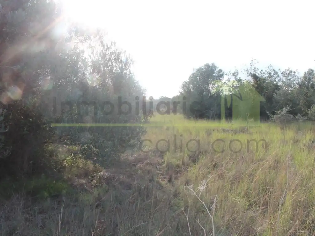 Terreny residencial en venda a Càlig, imagen 11