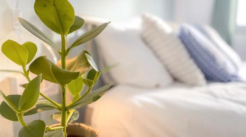 Photo 4 of Attic to rent in Carrer de Guillem de Castro, El Botànic, Valencia