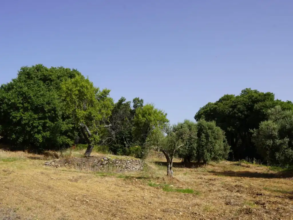 Casa o xalet en venda en Bárcabo