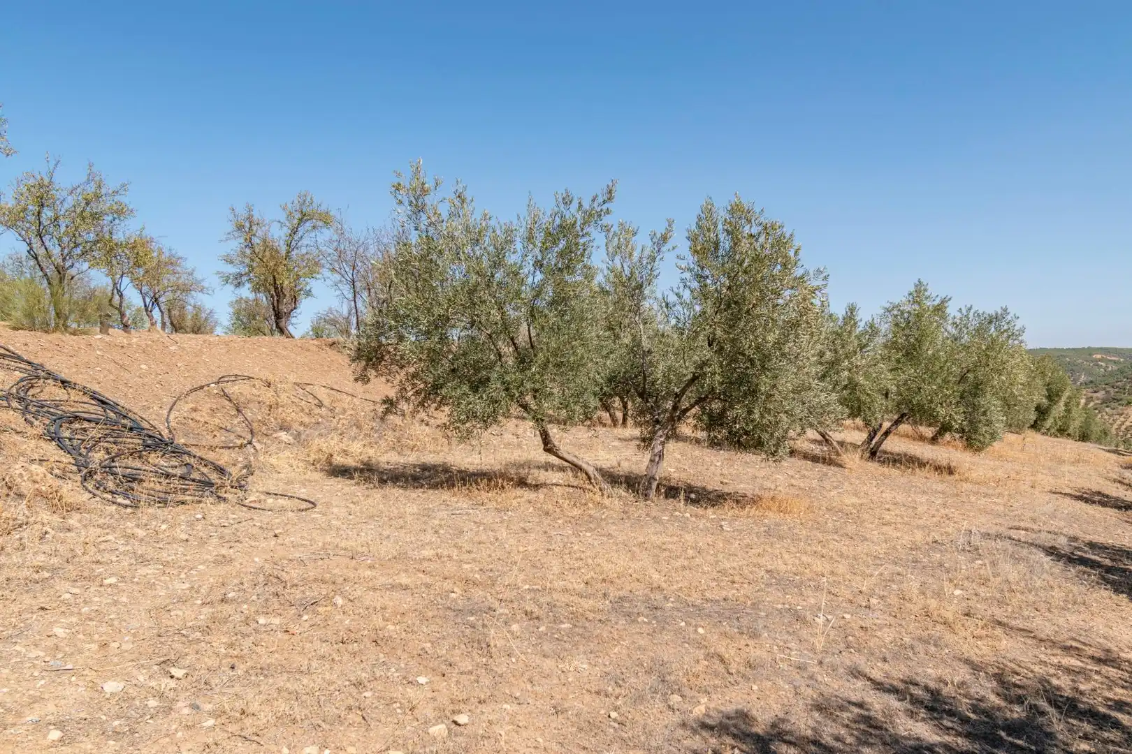 Finca rústica en venta en Vereda morollon, La Peza