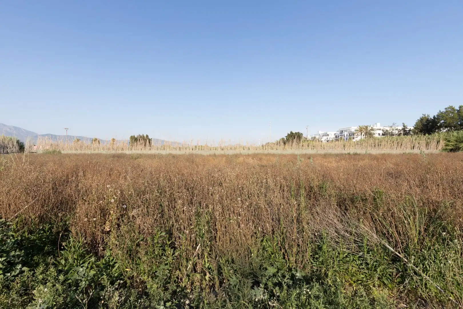 Terreny residencial en venda a Calle Sus Pla 1, imagen 4