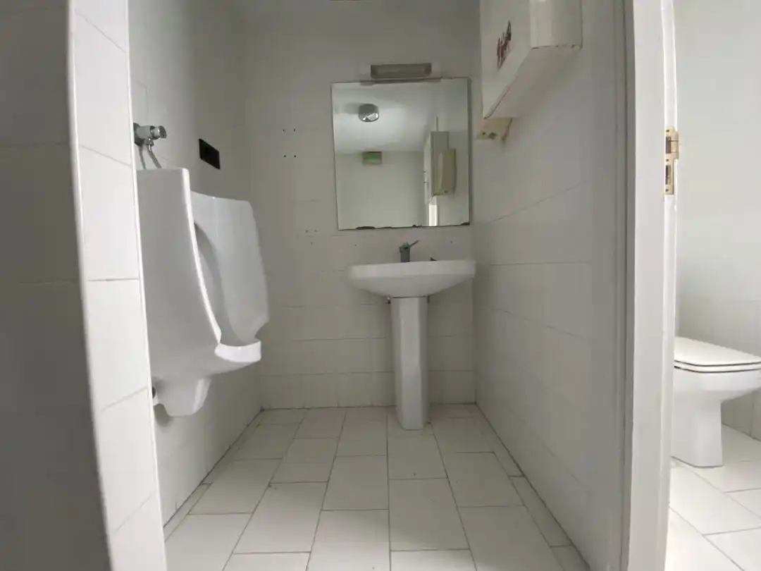Bathroom of Commercial properties for sale in Bergara