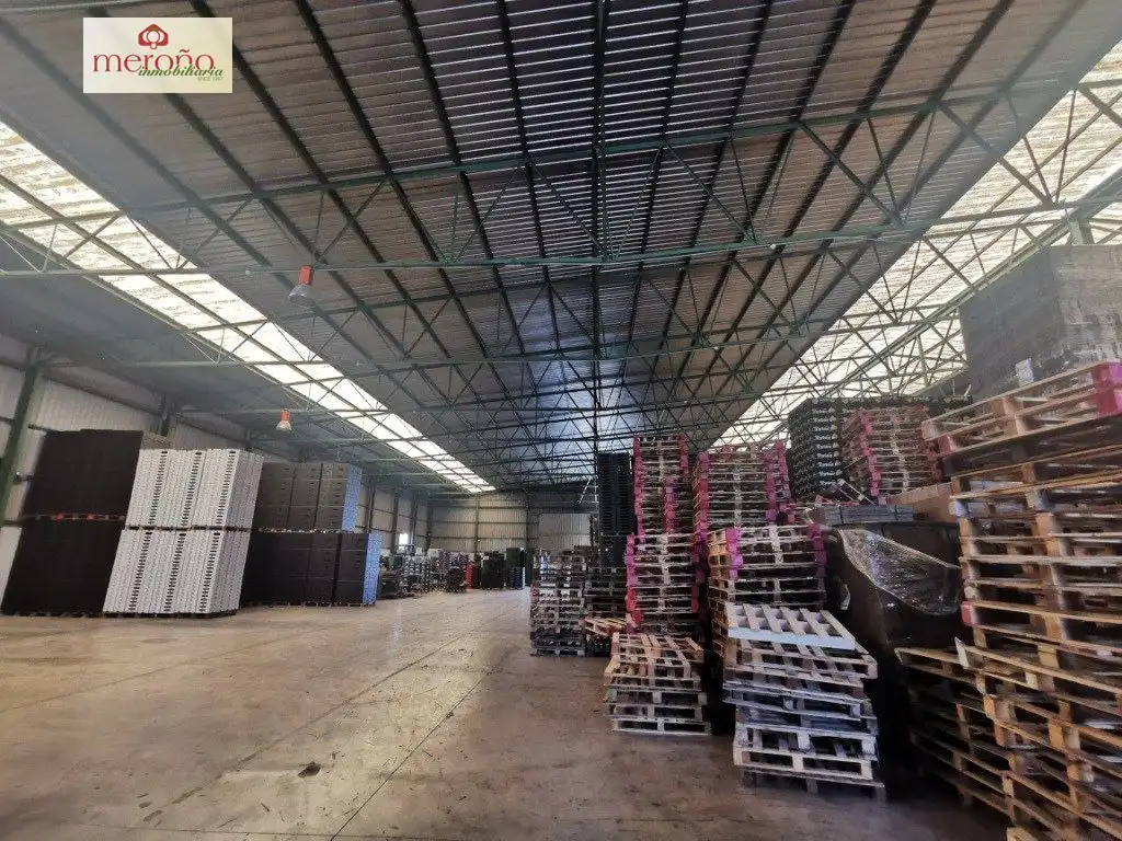 Industrial building for sale in Montepinar - La Aparecida - Raiguero