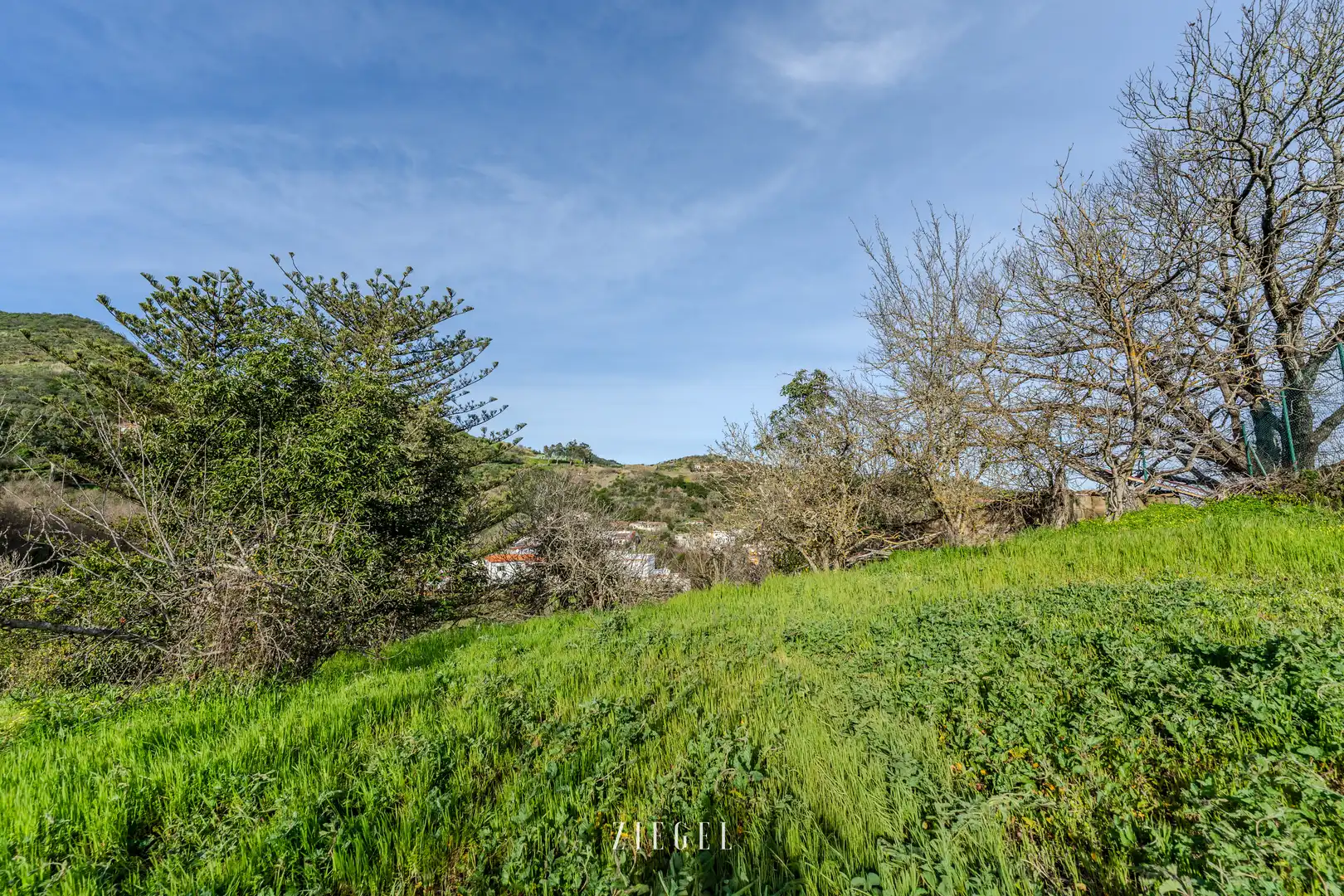 Casa o xalet en venda a Calle Tierras Blancas, 8, Valleseco