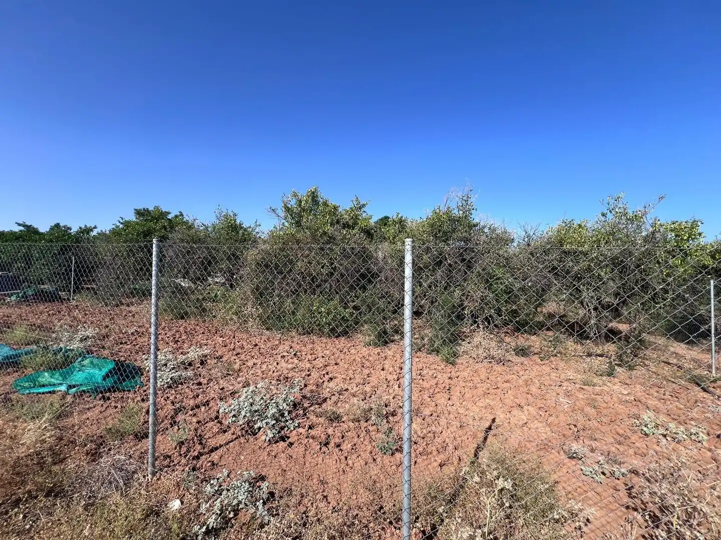 Rural land for sale in Guillena pueblo, imagen 2
