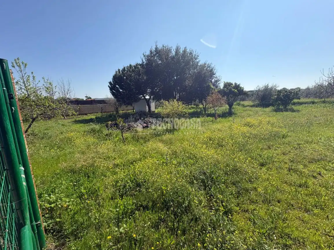 Terreno en venta en Táliga