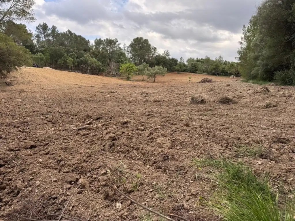 Terrain rustique à vendre à Selva, imagen 3