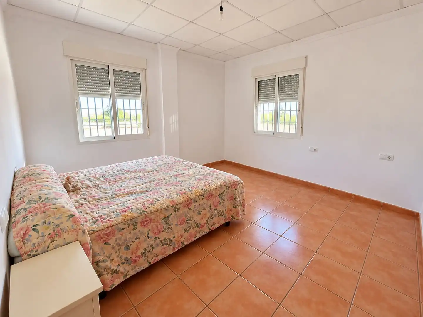 Casa rústica amb piscina en venda a Crevillent, imagen 11