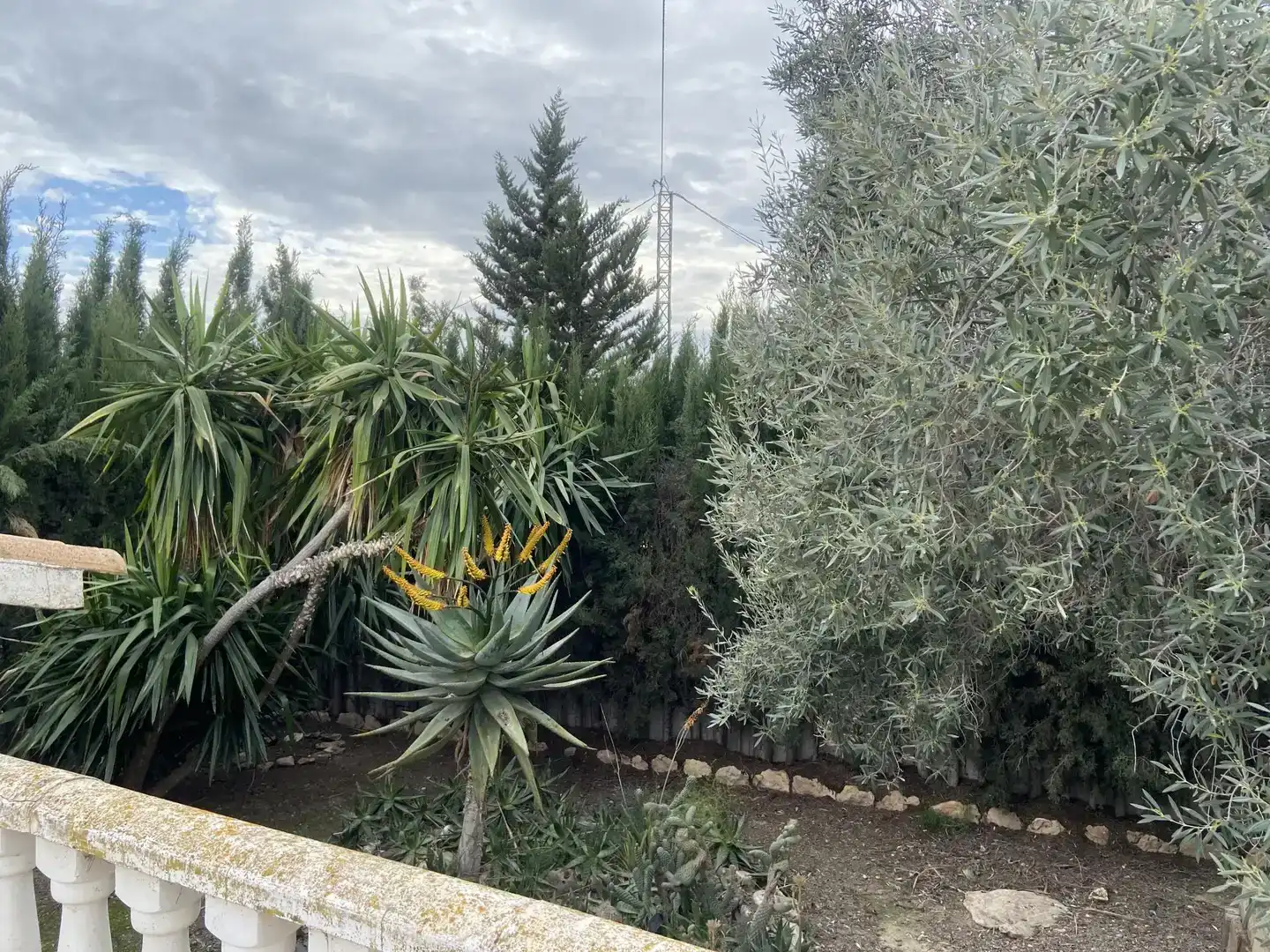 Finca rústica en venda en Archena amb Balcó