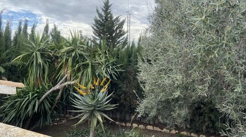 Foto 3 de Finca rústica en venda a Carretera Ceutí, 29, Archena, Murcia