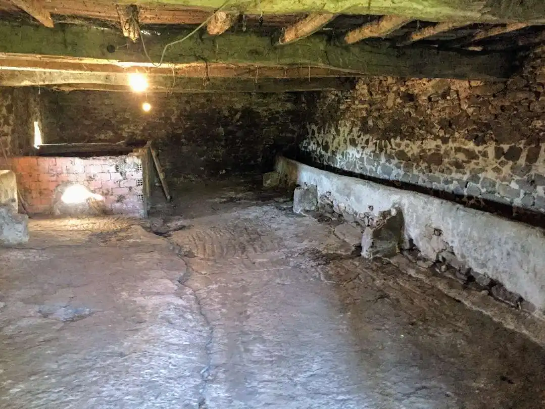 Casa o xalet en venda en Tineo amb Jardí privat i Traster