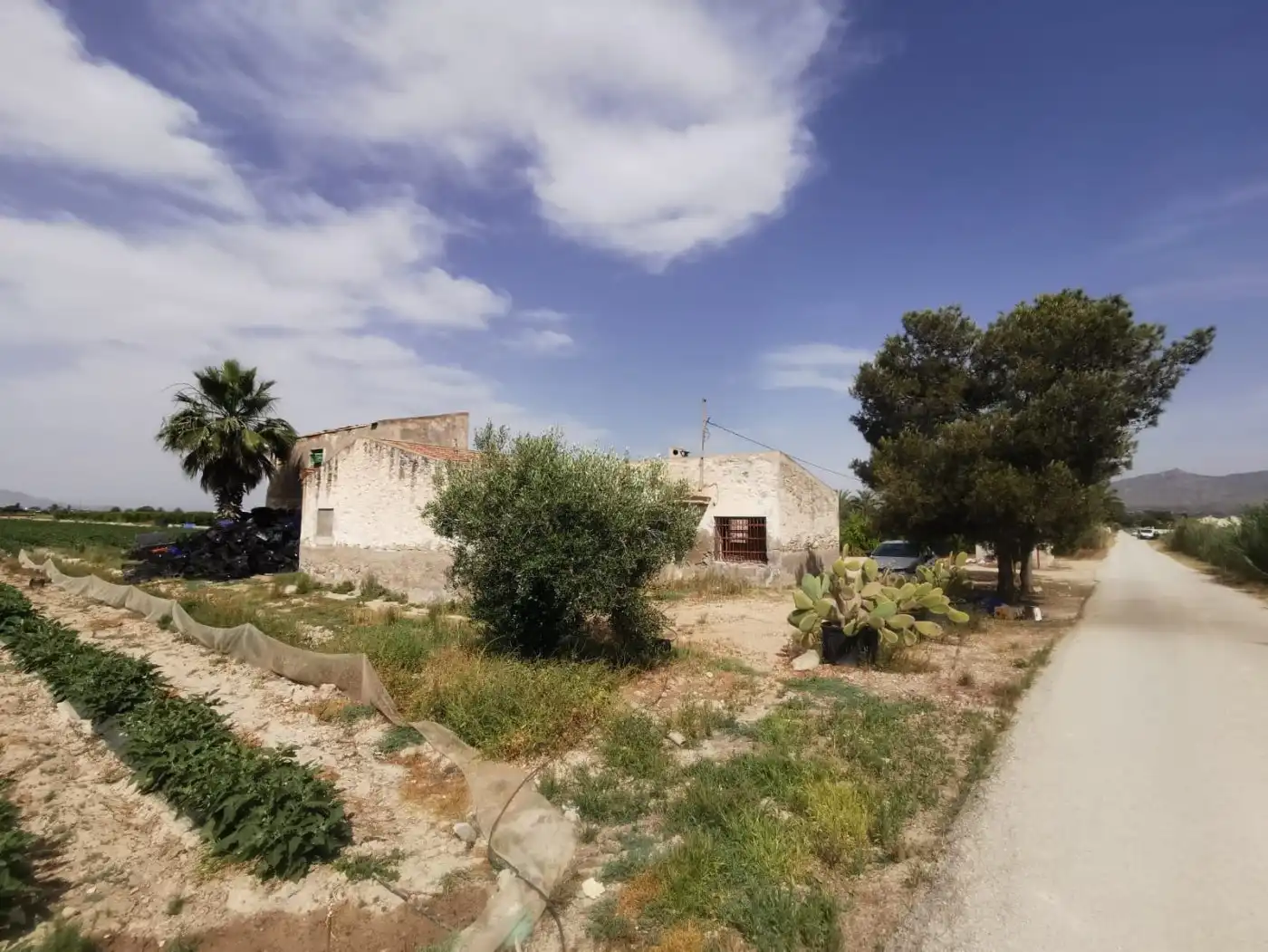 Finca rústica en venda en Albatera