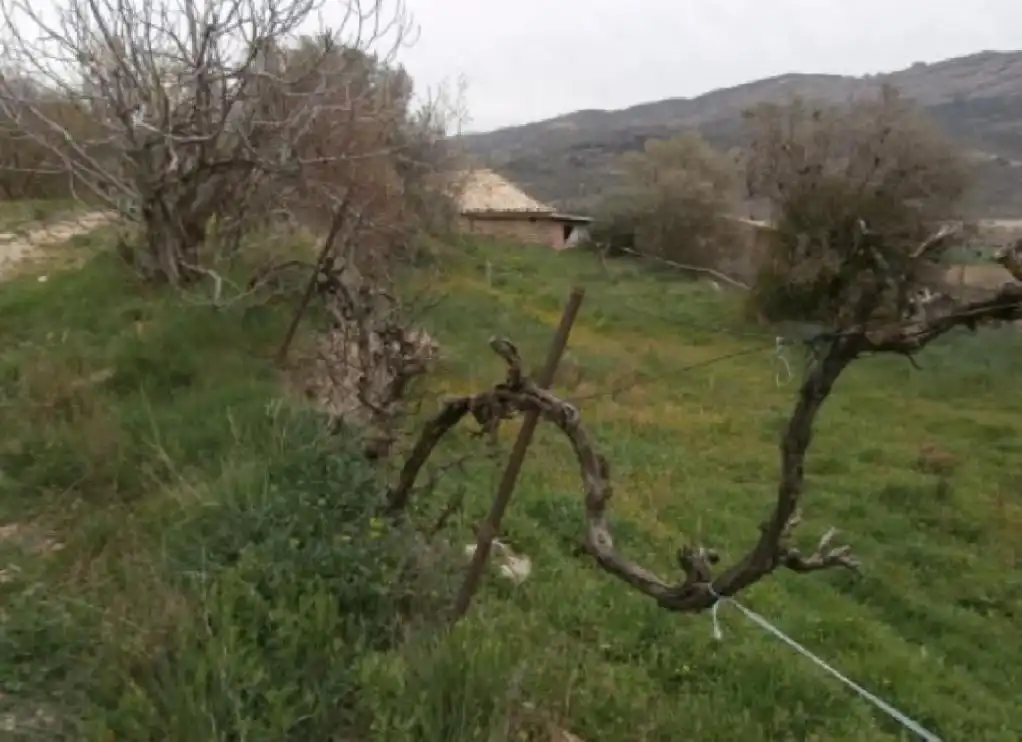 Rural land for sale in F, imagen 3