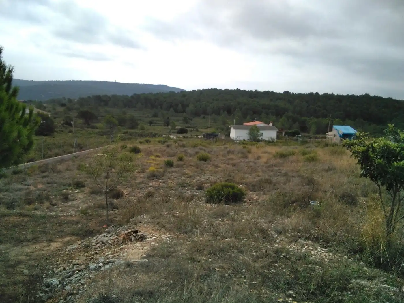 Terreno residenziale in vendita a Querol, imagen 6