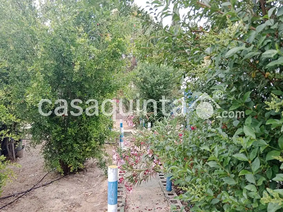 Xalet amb piscina en venda a Pol. Ind. I1, imagen 21