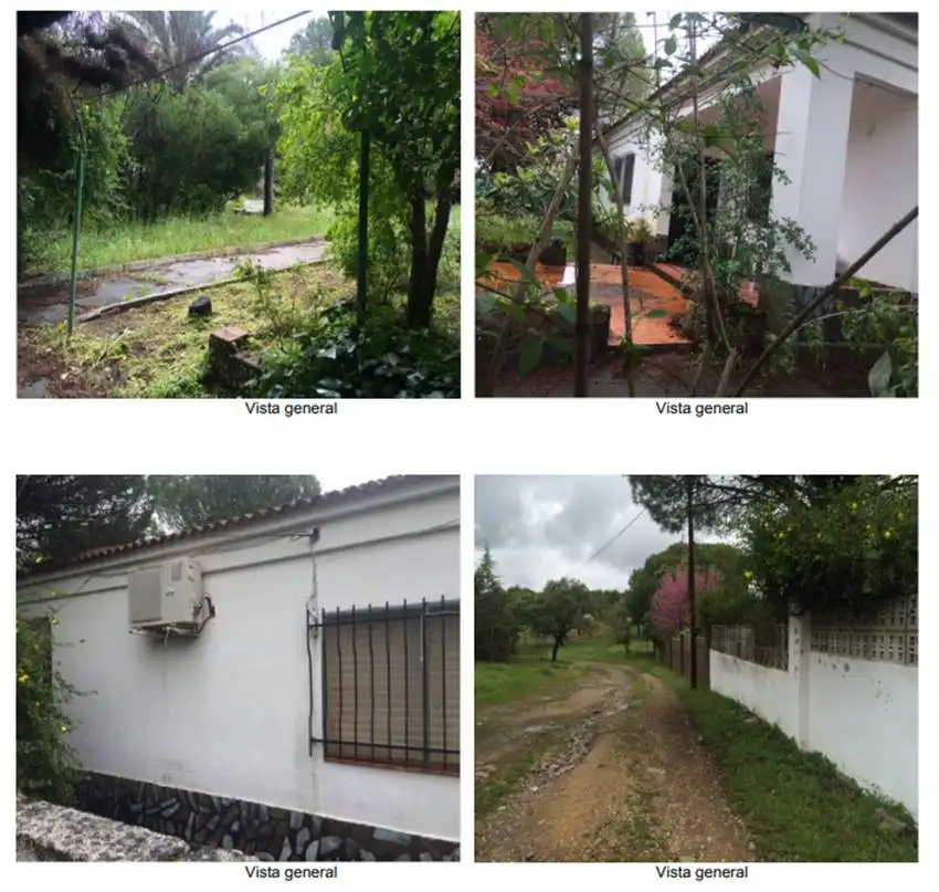 Jardí de Finca rústica en venda en Castilblanco de los Arroyos amb Jardí privat i Piscina