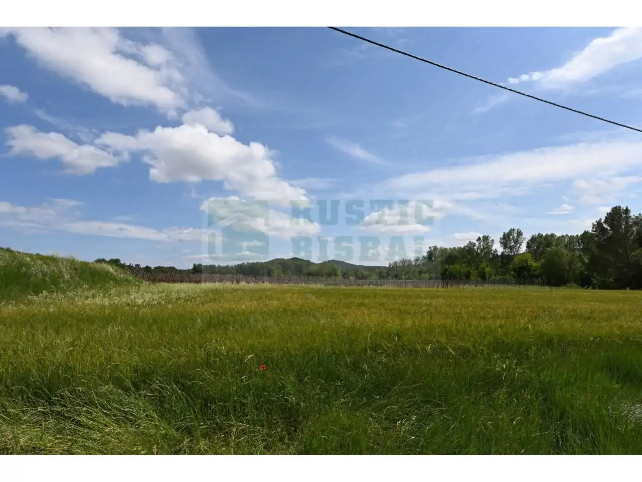 Finca rústica en venta en La Pera