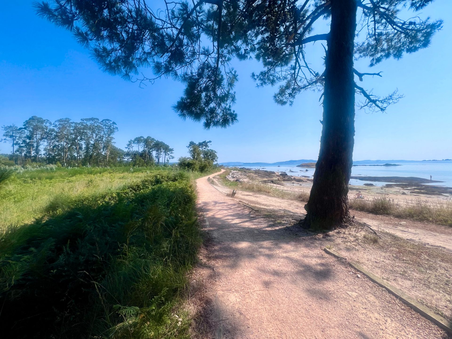 Exterior view of Land for sale in Vilanova de Arousa