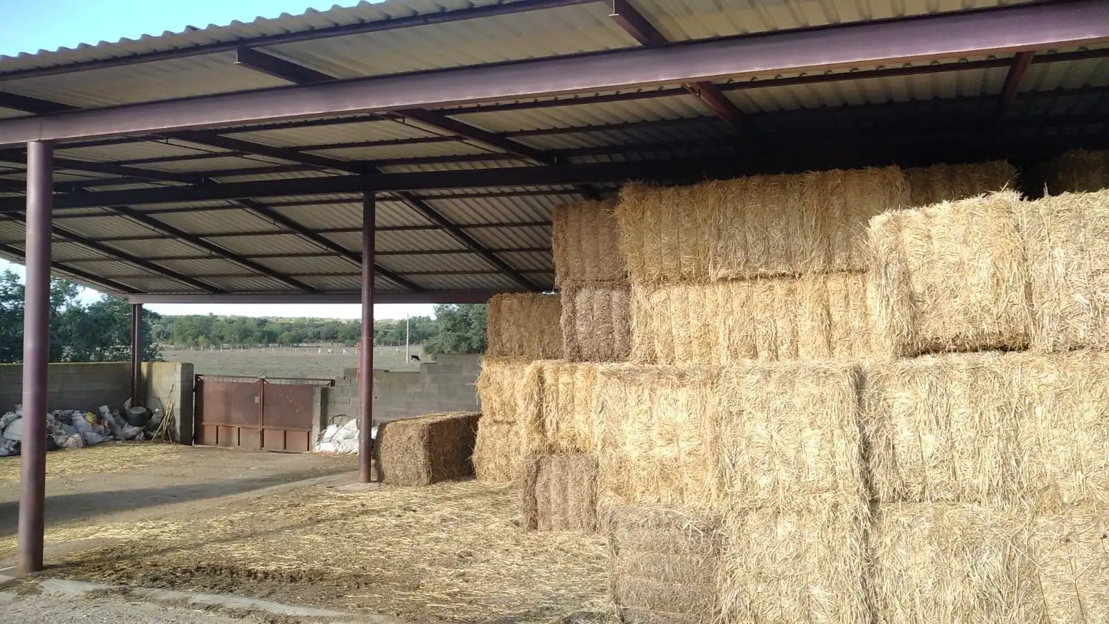 Rural land for sale in Topas, imagen 14