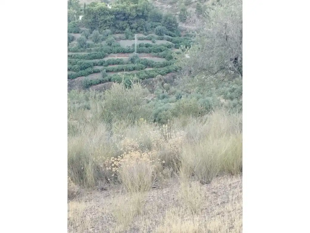 House for sale in Alcaucín, imagen 7
