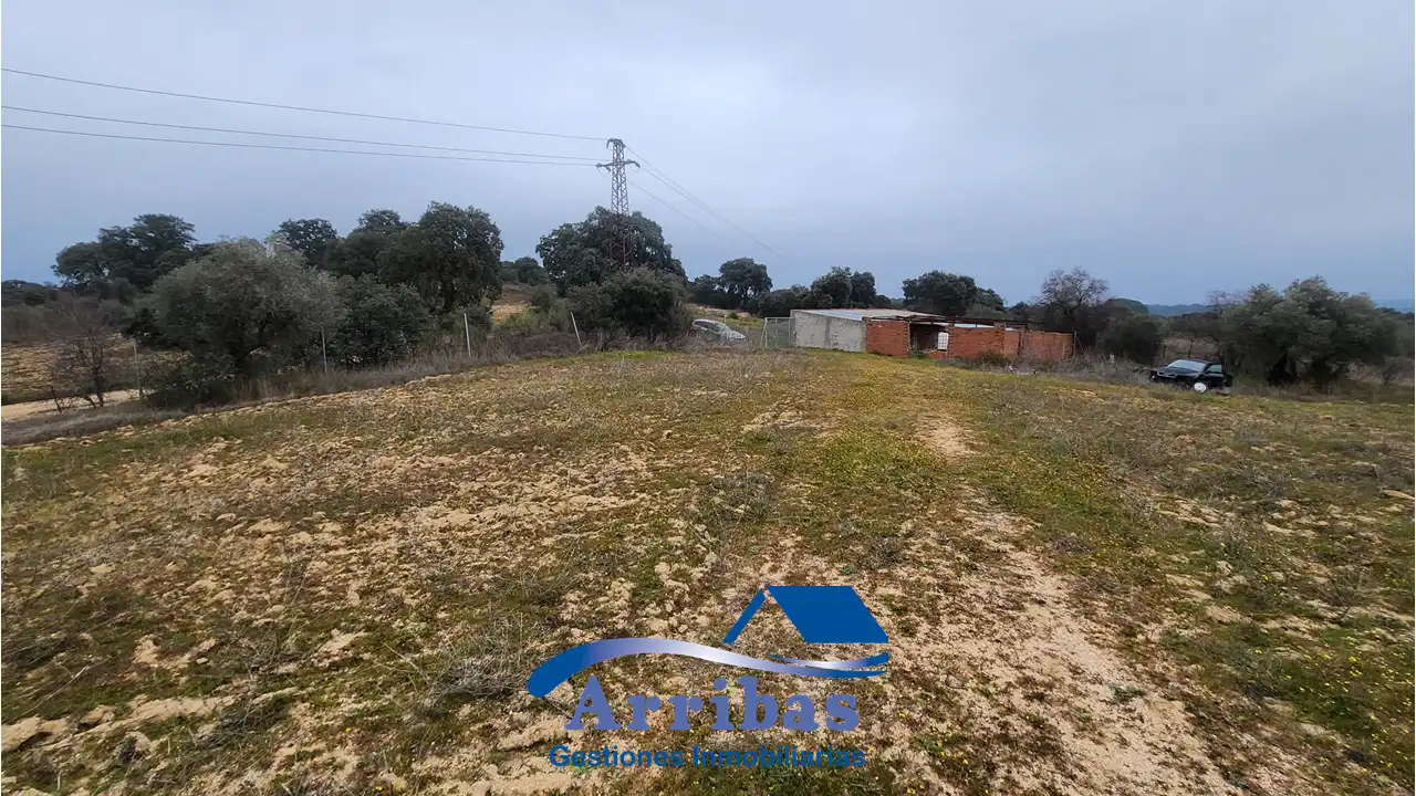 Country homes for sale in Escalona