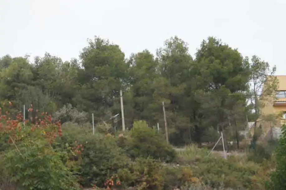 Terreno residencial en venta en Carrer Paisos Catalans, imagen 8