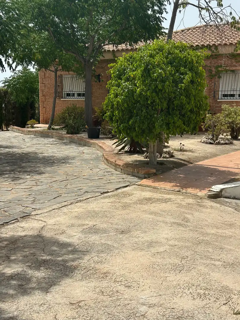 Vista exterior de Casa o xalet en venda en San Vicente del Raspeig / Sant Vicent del Raspeig amb Aire condicionat, Calefacció i Jardí privat