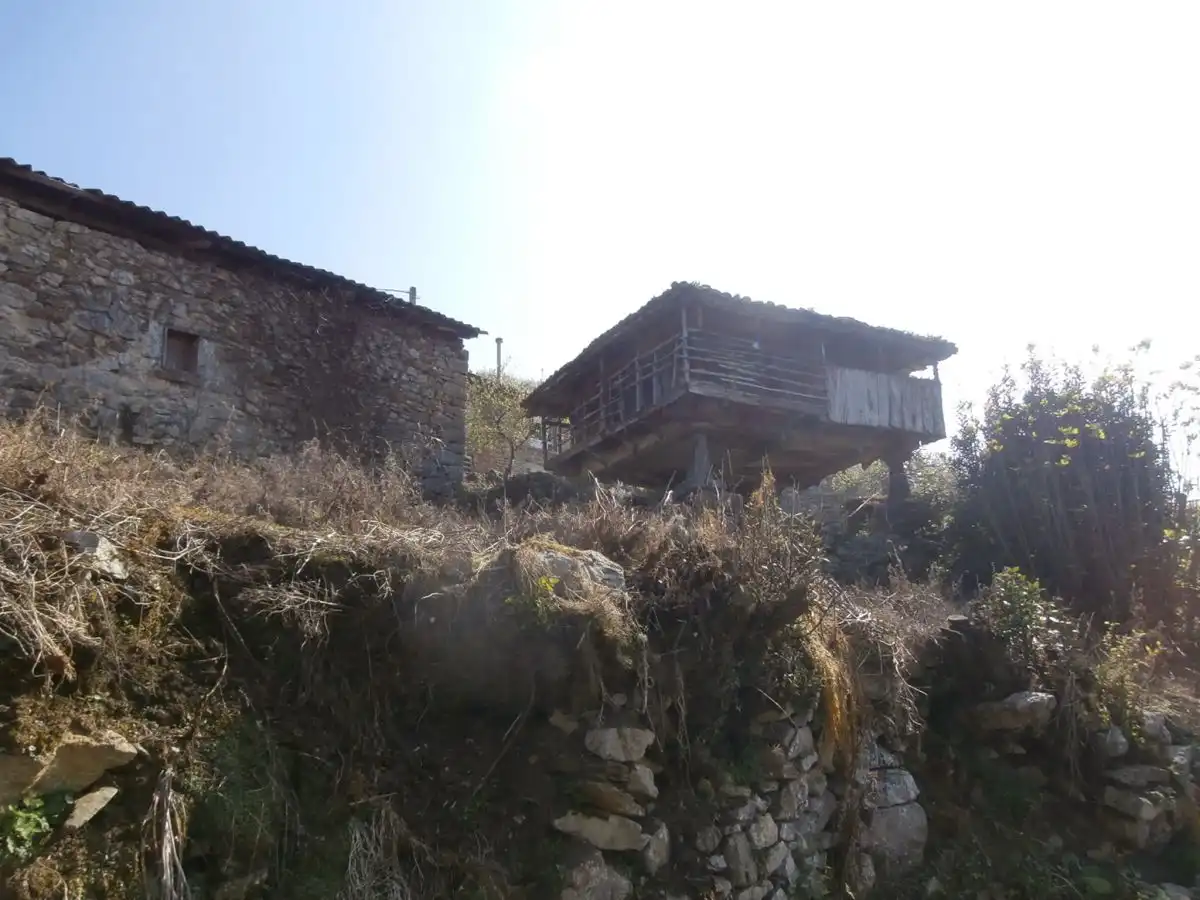 Maison à vendre à Grado, imagen 2