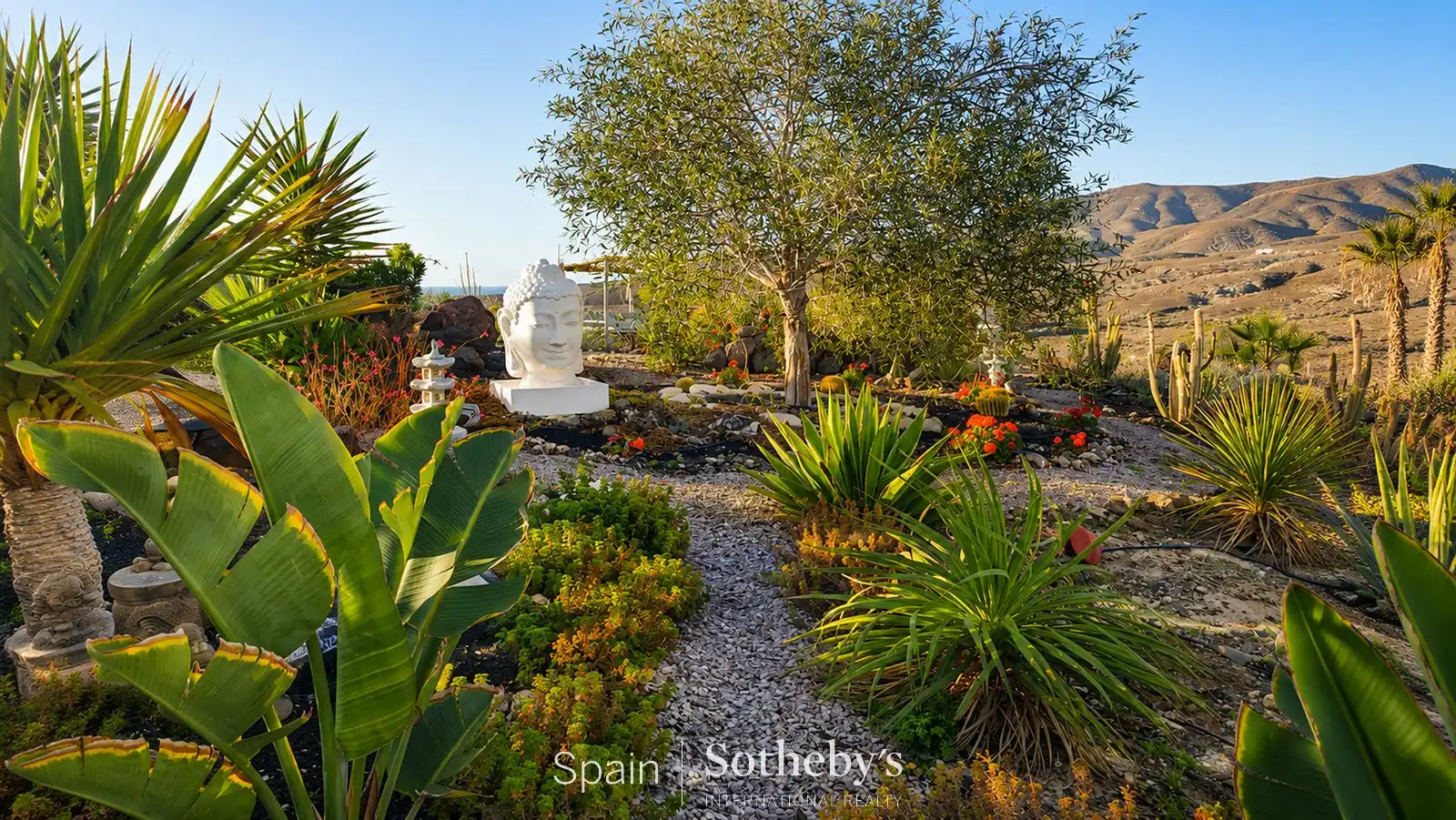 Garden of Houses for sale in Tuineje  with Air Conditioner, Heating and Private garden