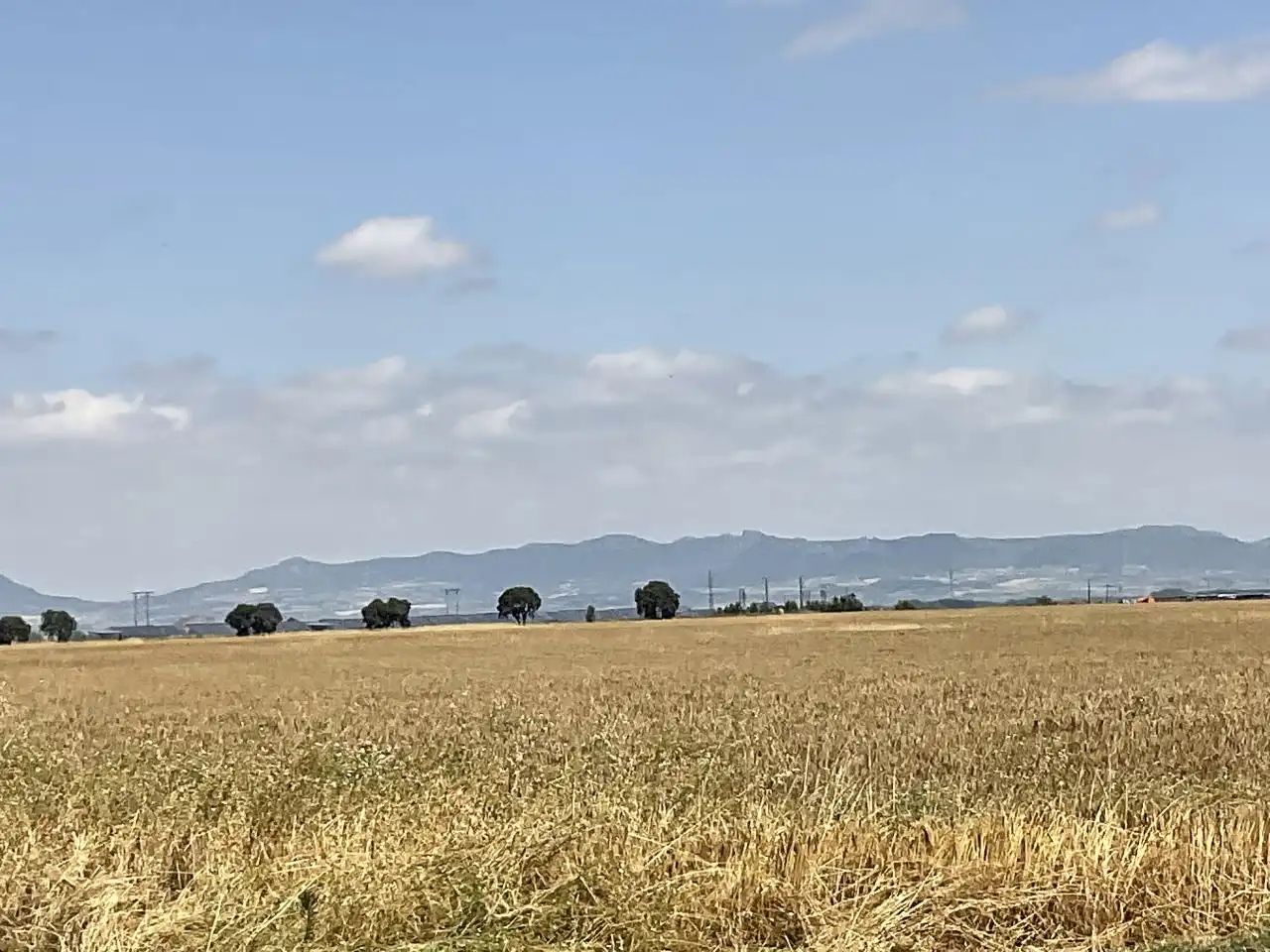 Land for sale in Bañares