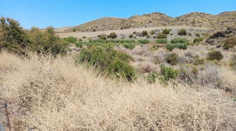 Foto 3 von Grundstücke zur Miete in Diseminado el Charcon, 21, Tébar - Los Arejos, Águilas