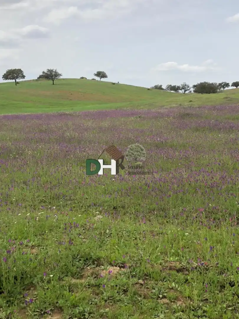 Terreni e lotti in vendita a El Carmen - Cardeñas